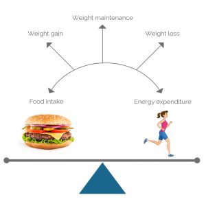 The 80/20 ratio of highly nutritious food