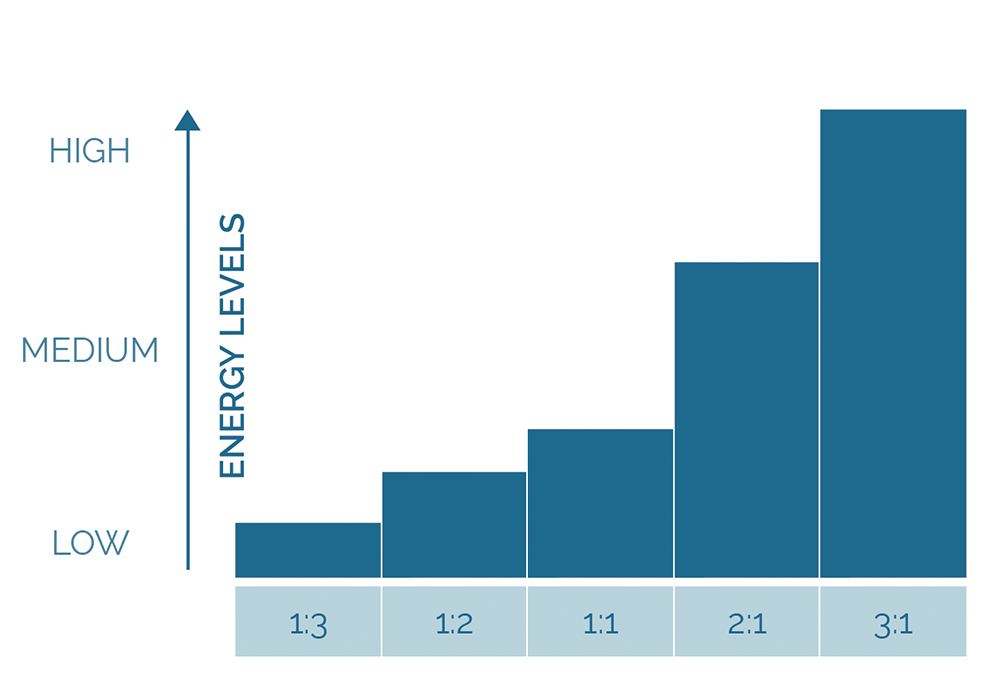 Illustration 3.0 - The P/N Ratio as a spectrum that could make up the average person’s day-to-day experiences.